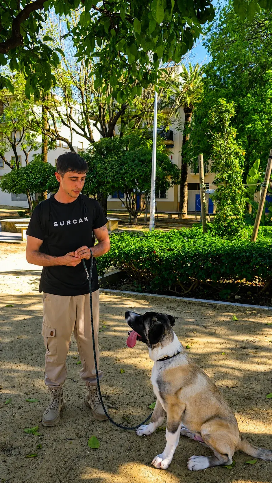 Profesional Surcan — adiestrador canino Sevilla