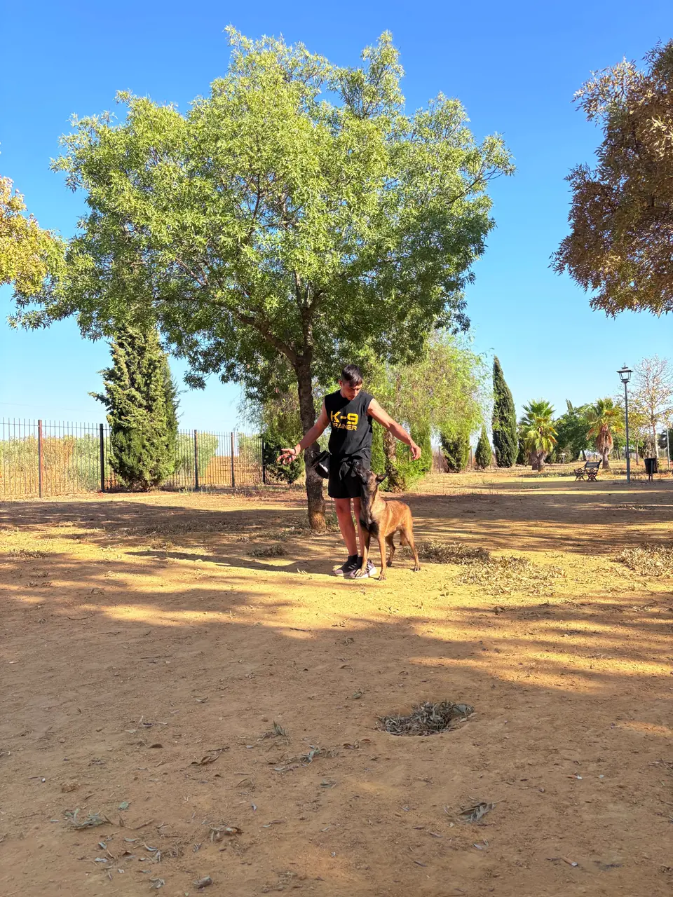 Profesional Surcan — adiestrador canino Sevilla