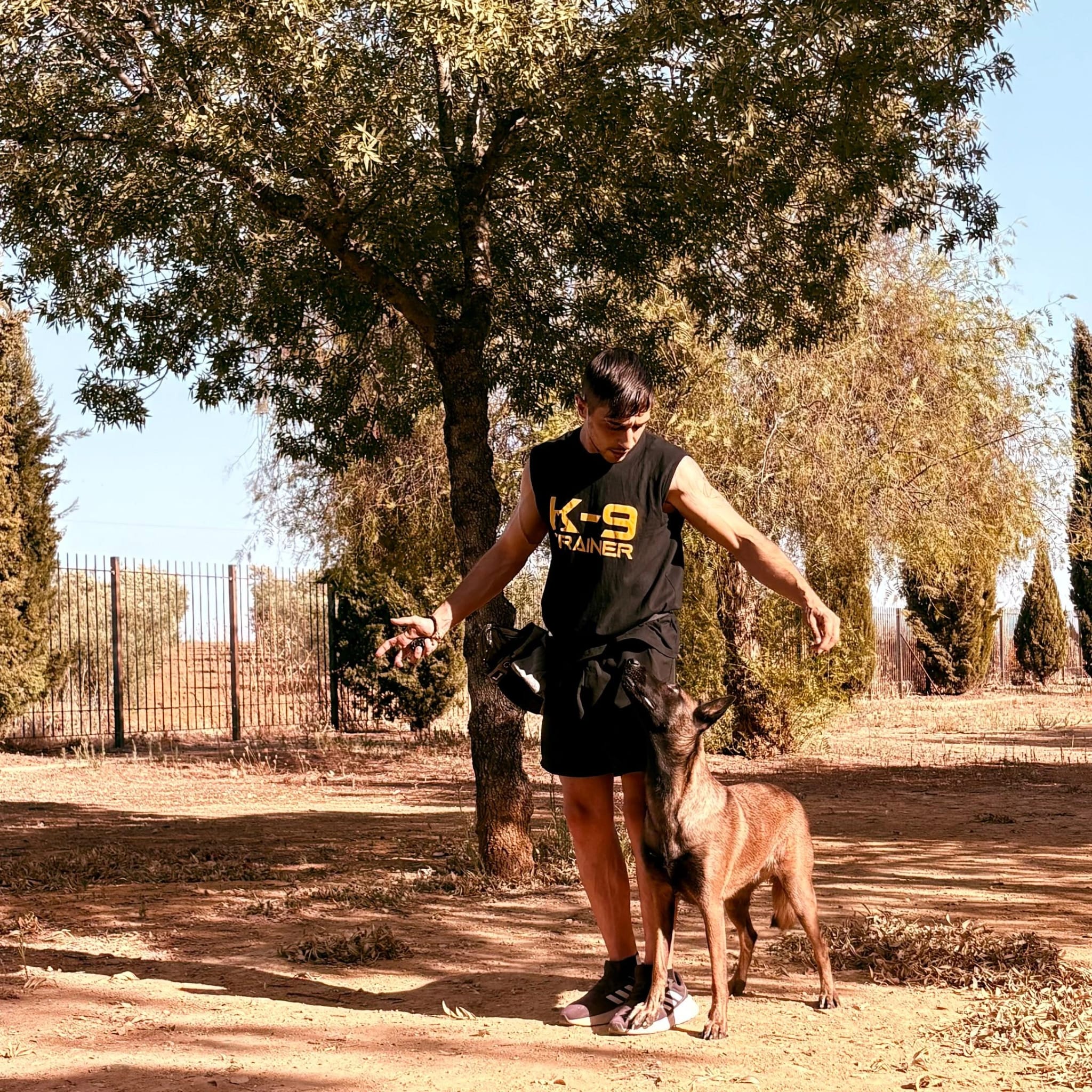 Profesional Surcan — adiestrador canino Sevilla